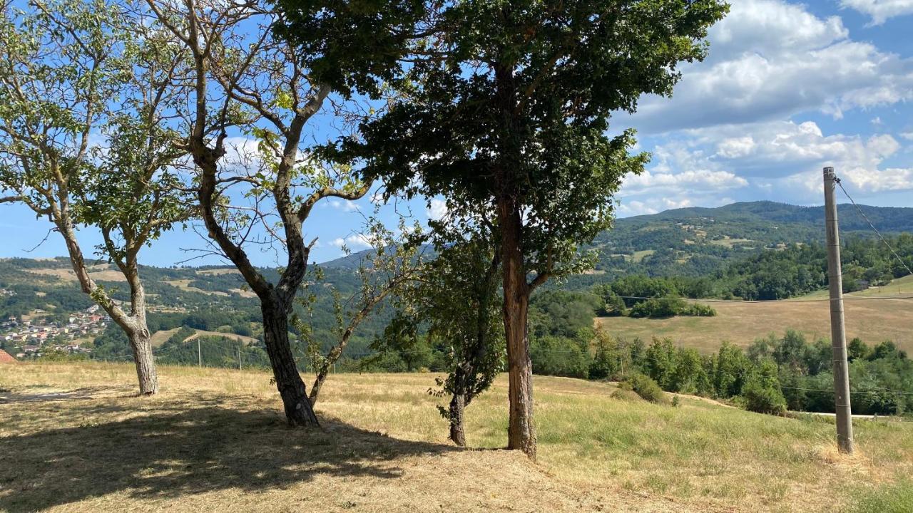 Agriturismo Il Casone San Benedetto Val di Sambro Экстерьер фото